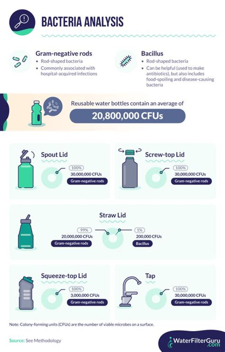 What bacteria grows in water bottles?