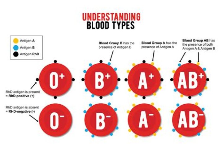 What blood type is the healthiest?