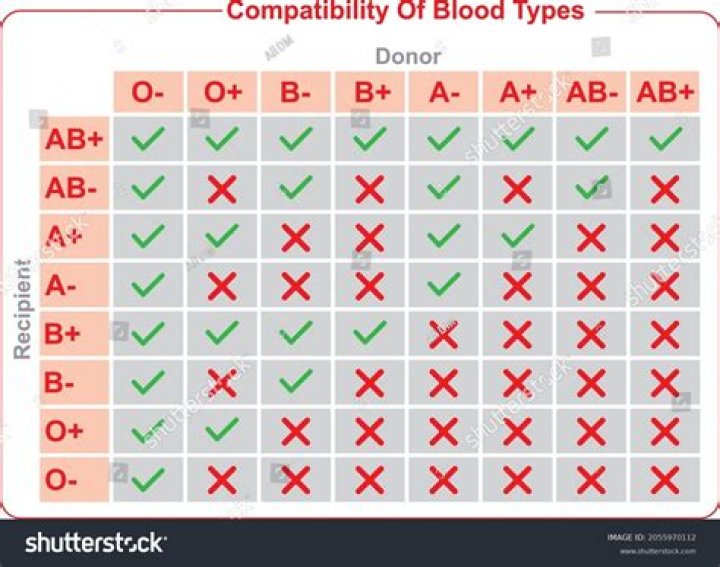 What blood types love compatibility?