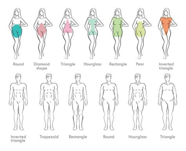 What body type is male in Halo Infinite?