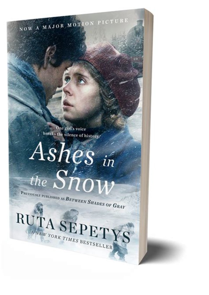 What book does Andrius give Lina for her birthday?