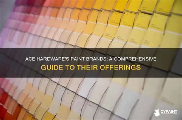 What brand paint does Tesla use?