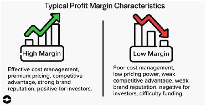 What business has highest profit margin?