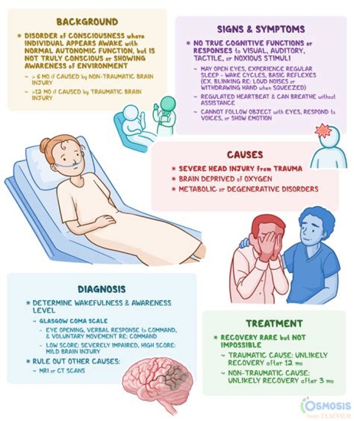 What can cause a Wii brick?