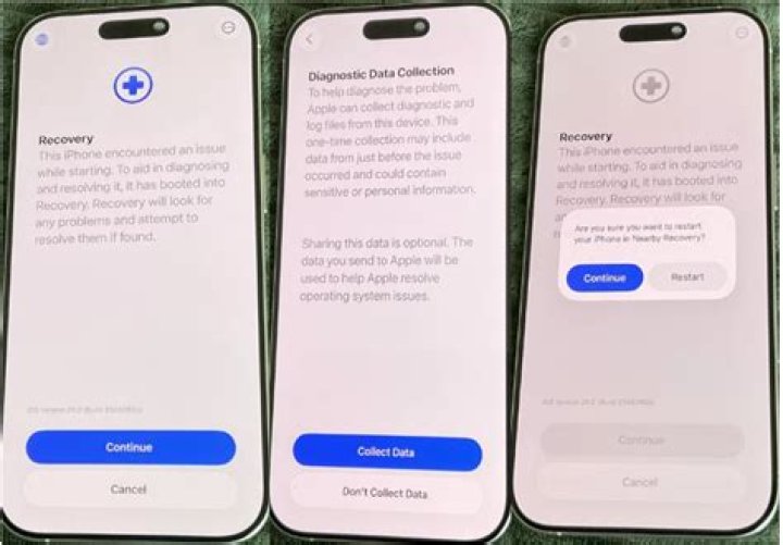 What can forensics recover from iPhone?