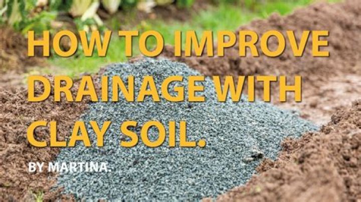 What can I add to clay soil to improve drainage?