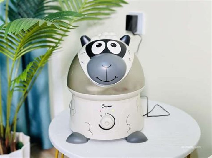 What can I put in my humidifier?