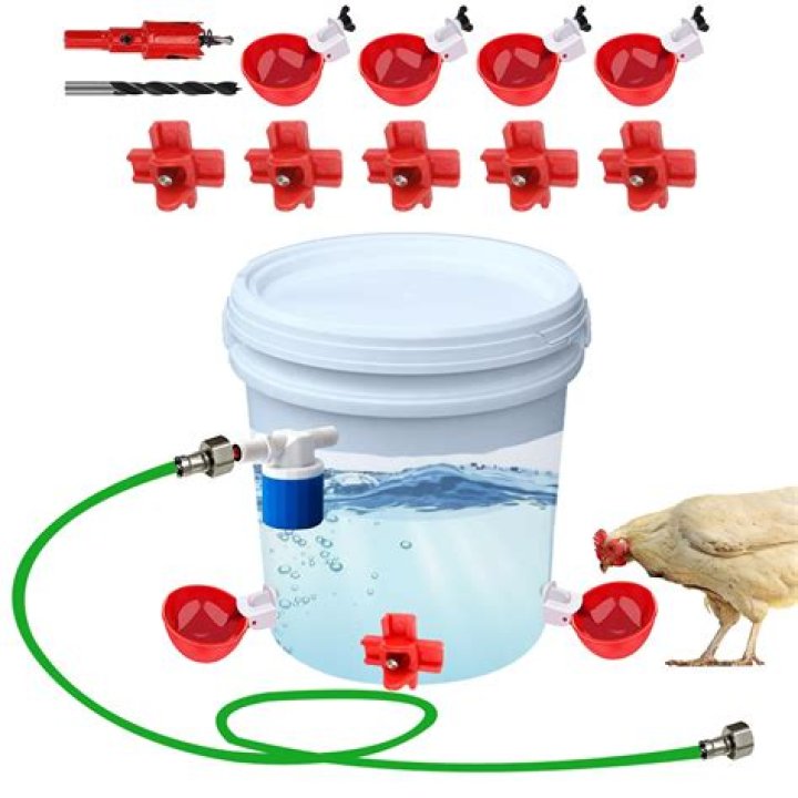 What can you add to chicken water?
