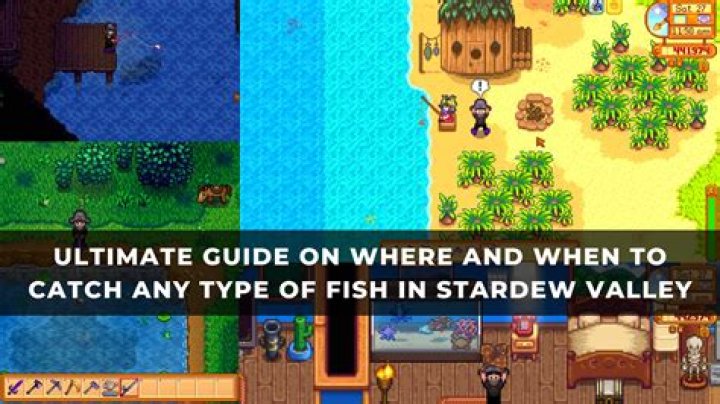 What can you catch in the submarine Stardew?