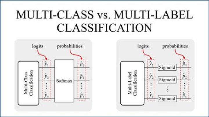 What can you multiclass with bard?