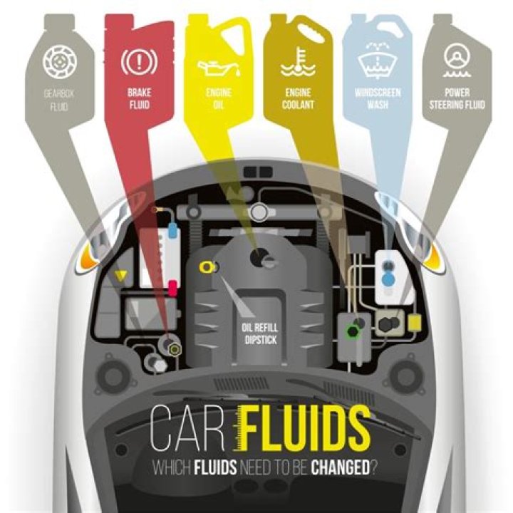 What car fluids are orange?