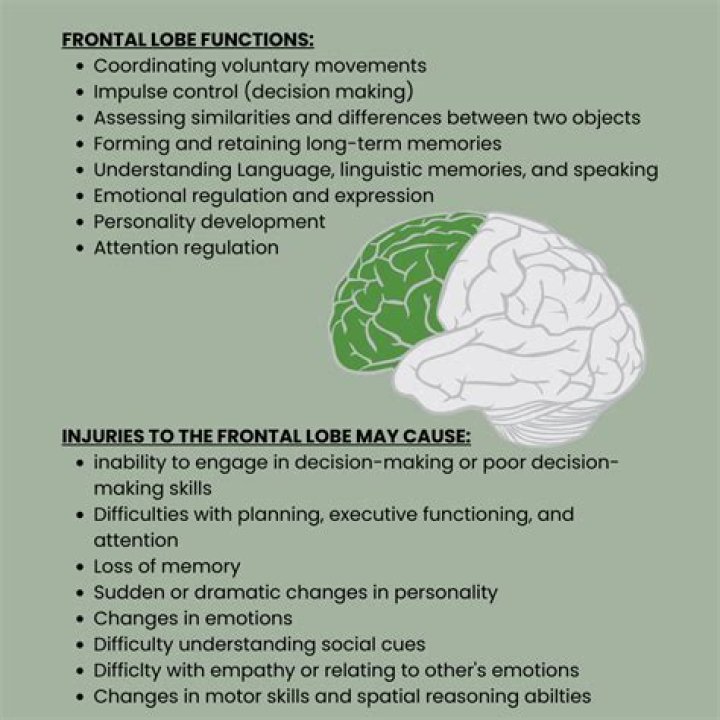 What Causes frontal lobe immaturity?