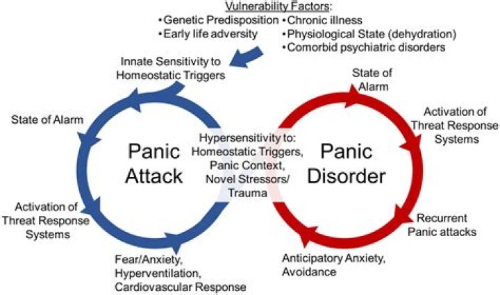 What causes panic attacks in the brain?
