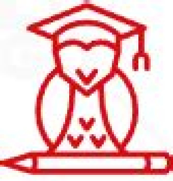 What classes can blood elves be?