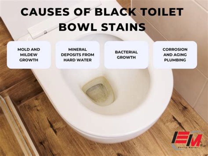 What cleans black stains in toilet?