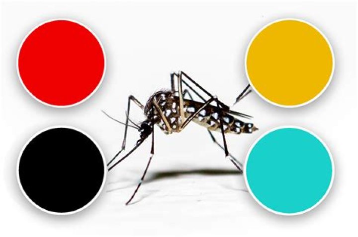 What color is mosquito attracted to?