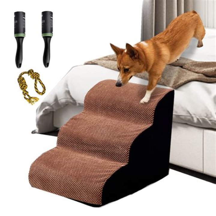 What color toy is best for dogs?