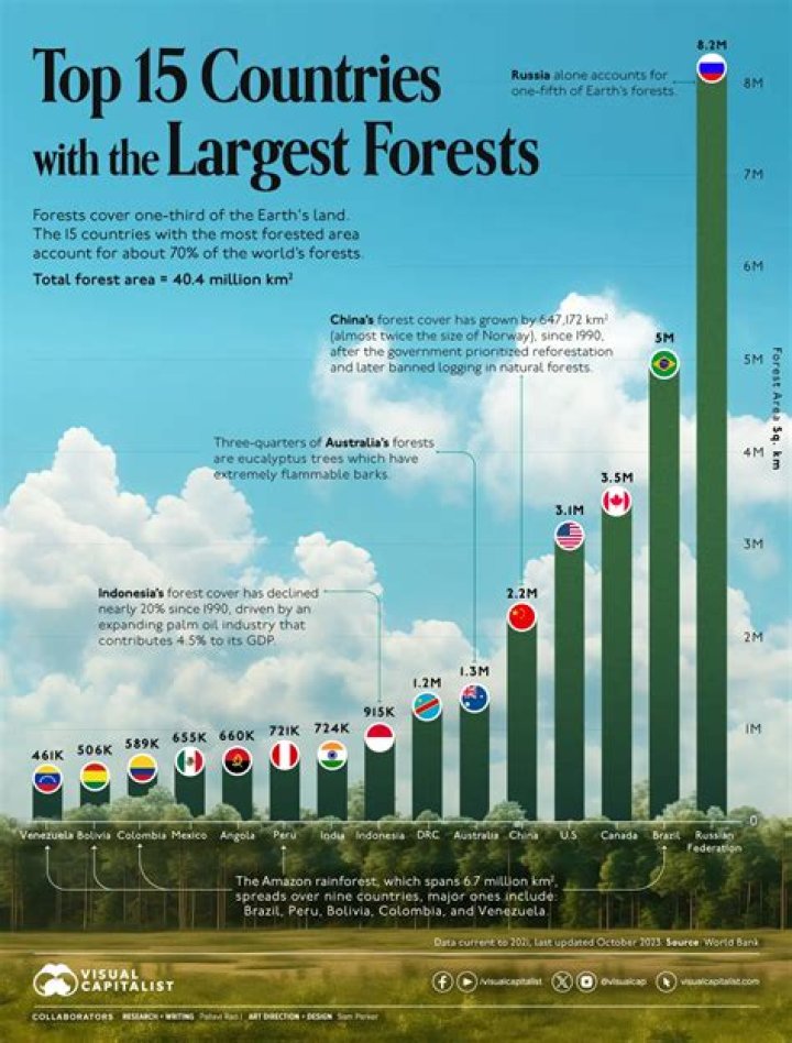 What countries have the most forests?