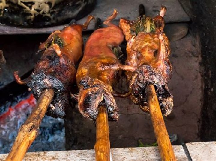 What country eats guinea pig?