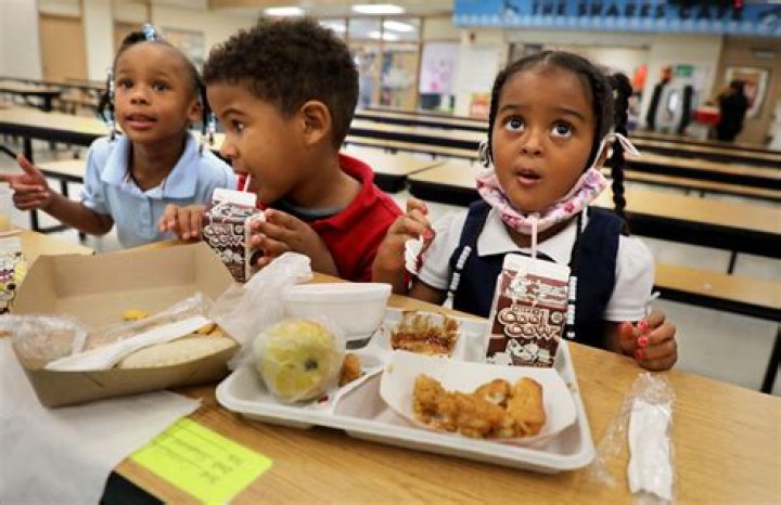 What country has best school lunch?