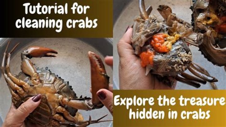 What crab is not edible?