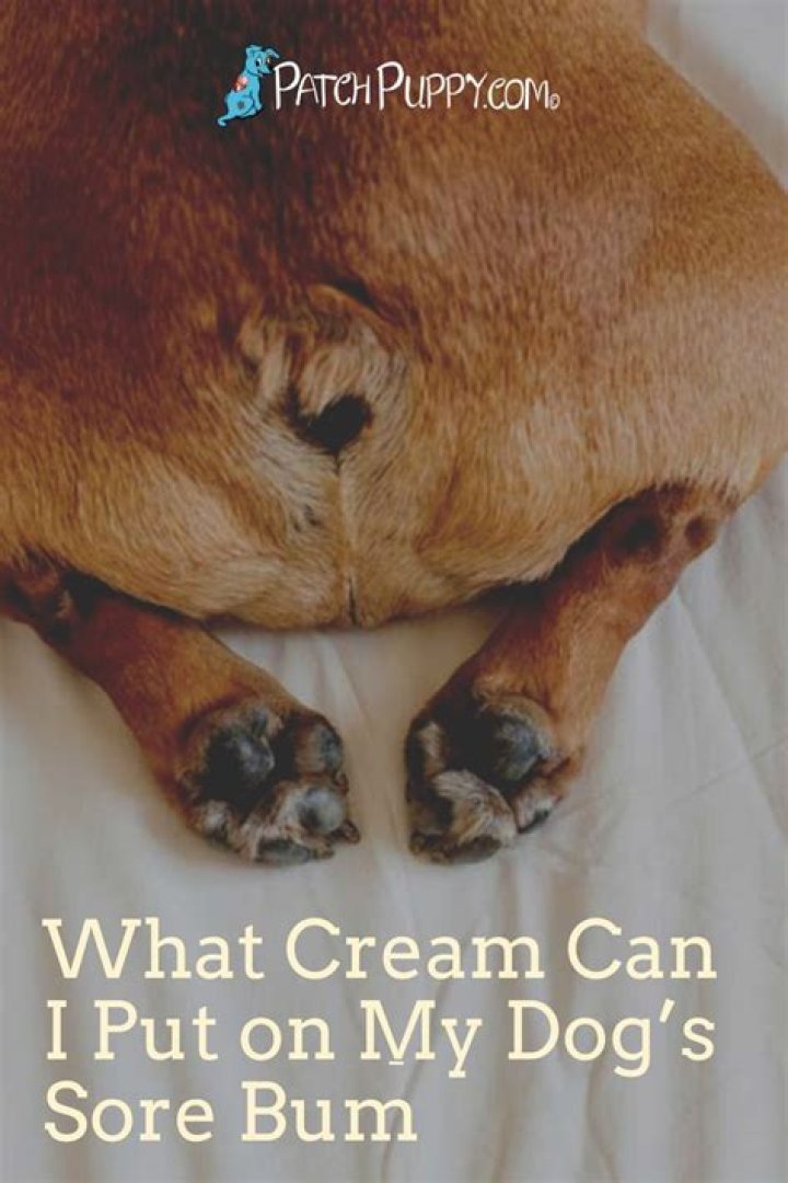 What cream can I put on my dog's sore skin?