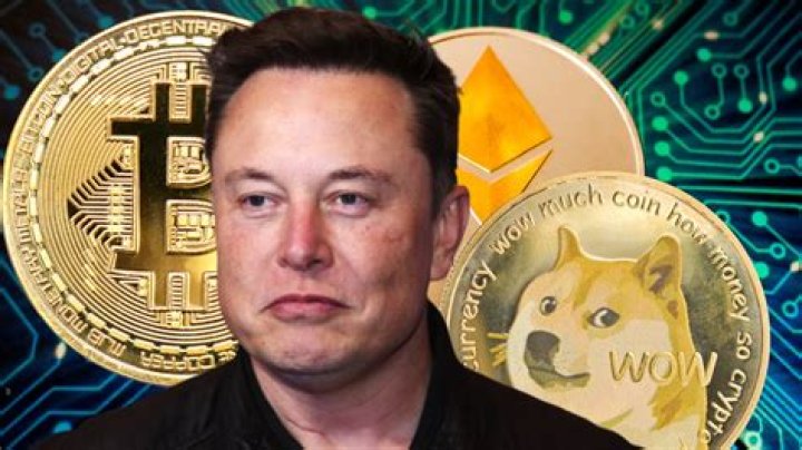 What crypto does Elon Musk?