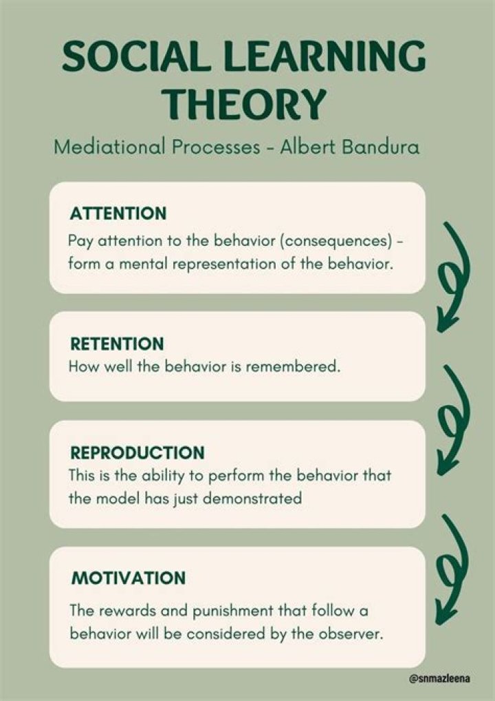 What did Mr Koch think of Albert 11?