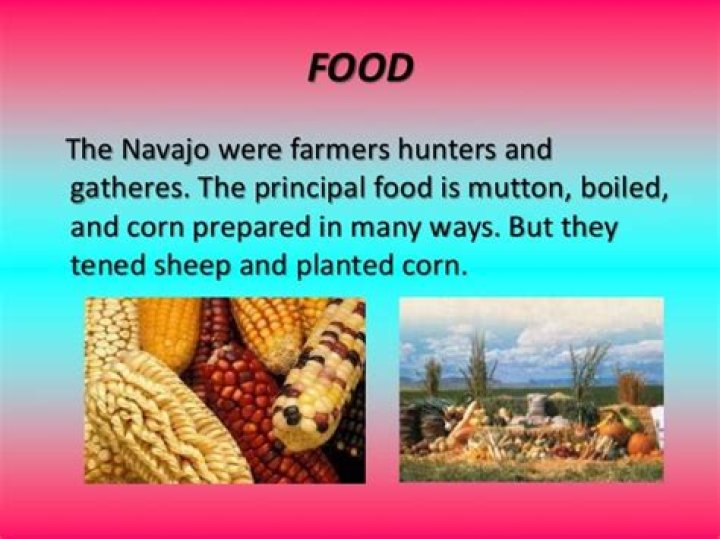 What did Navajo eat?