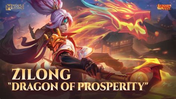 What did Zilong say?