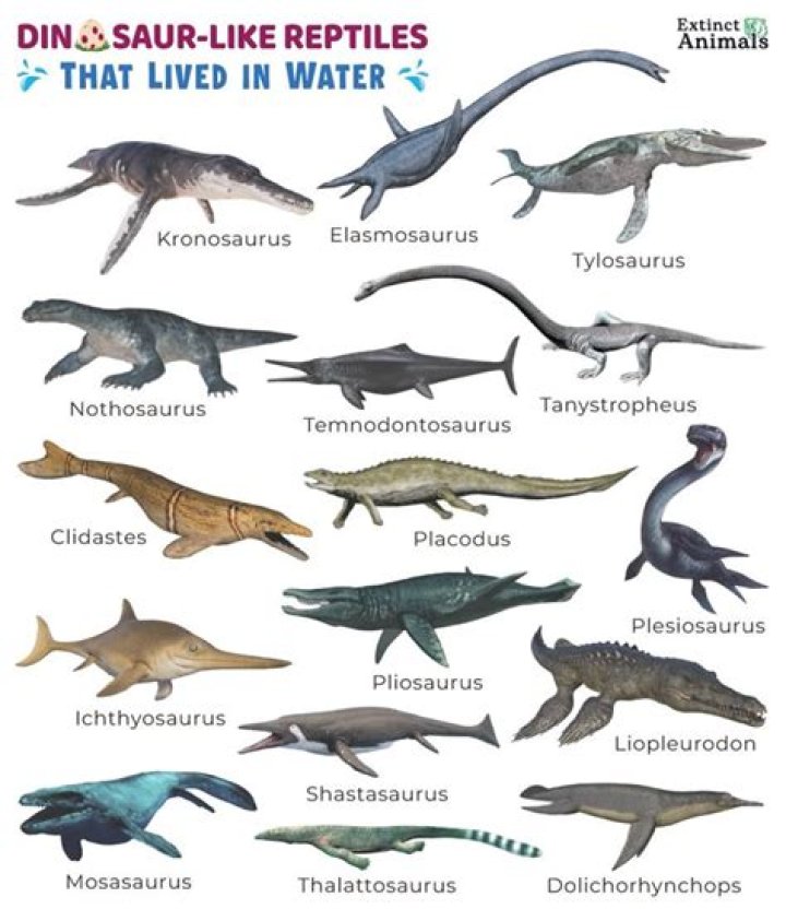 What dinosaur can breathe underwater?