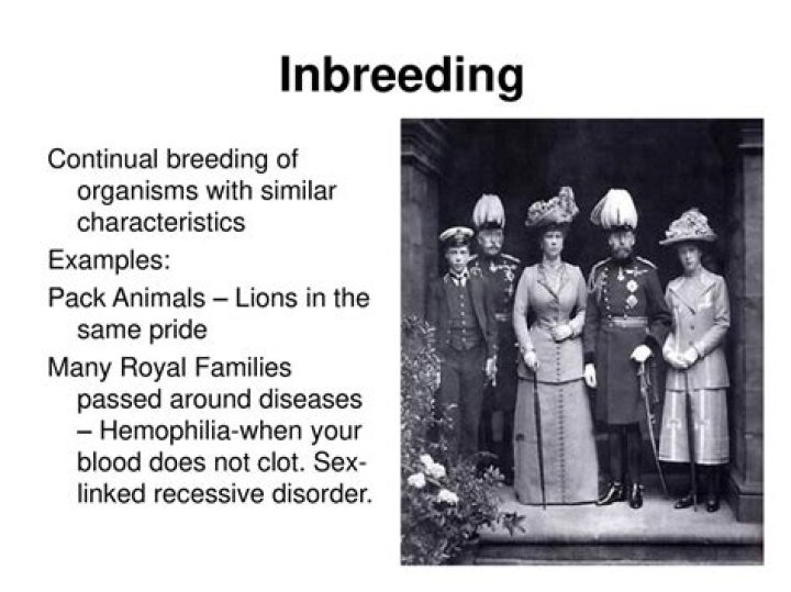 What disease is prevalent in many royal families due to inbreeding?