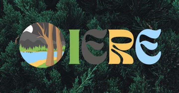 What disease killed the Pilgrims on the Mayflower?