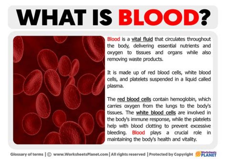 What diseases was bloodletting used for?