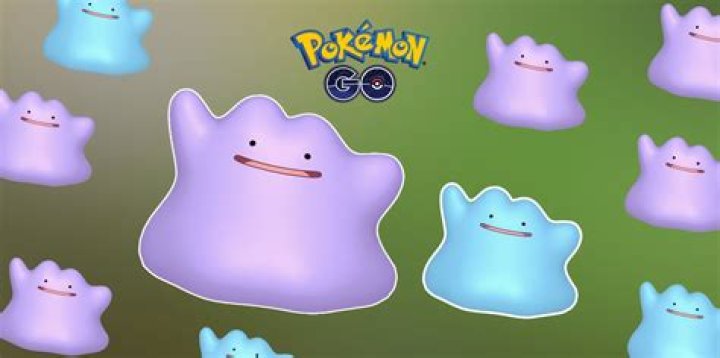 What Ditto is September 2021?