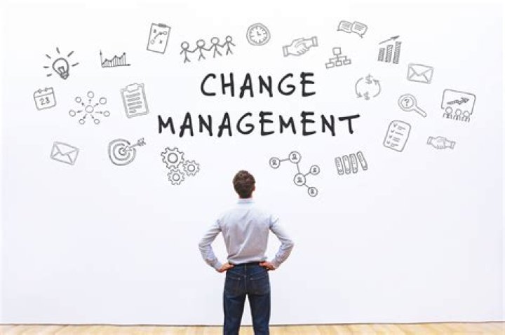 What do change managers do?