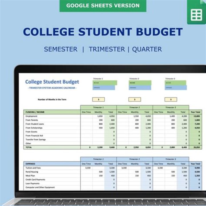 What do college students use Excel for?
