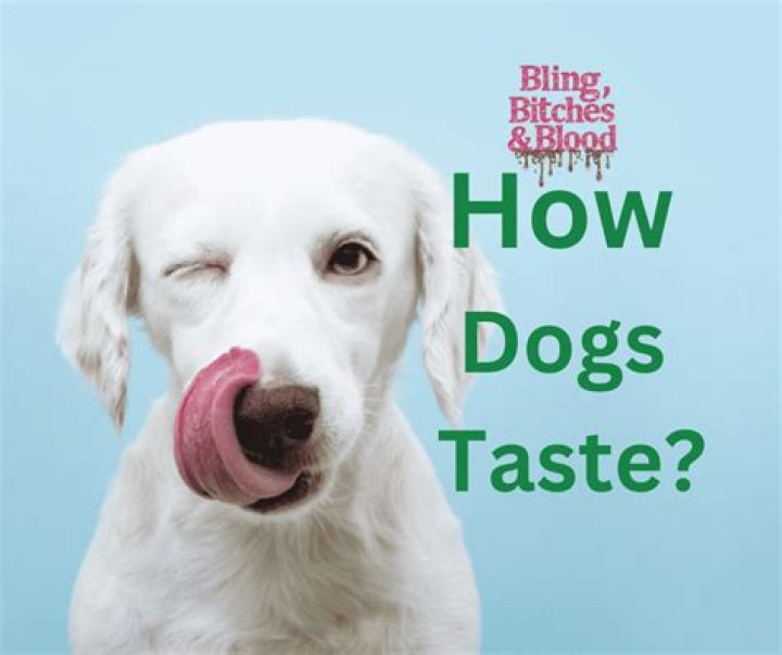 What do dog taste like?