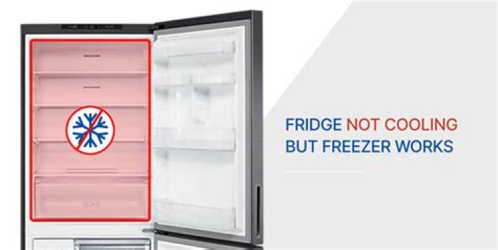 What do I do if my freezer is thawed?