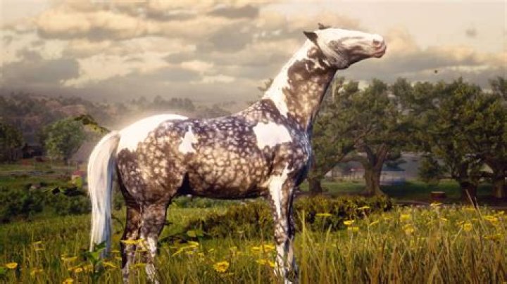 What do I need to know before separating?