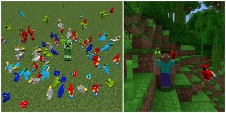 What do parrots do in Minecraft?