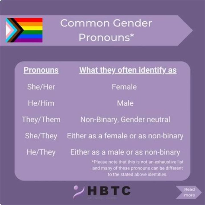 What do the Lgbtq pronouns mean?