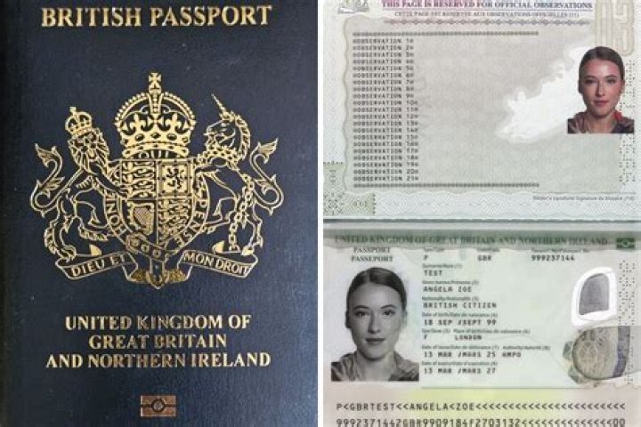 What do UK passports look like?
