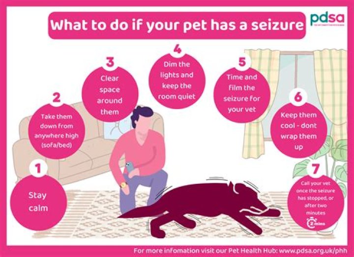 What do you do if an adult has a seizure?