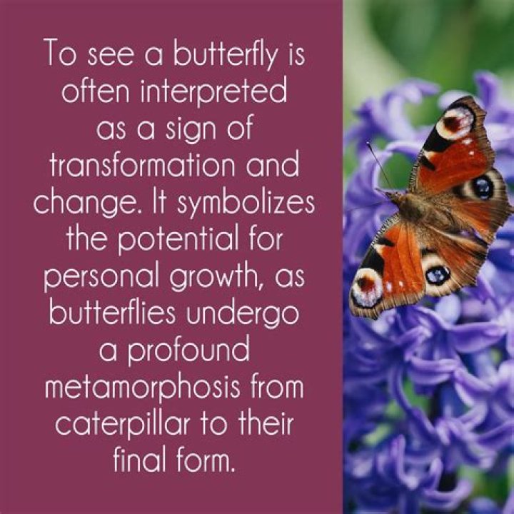 What does a butterfly mean above a hospital bed?