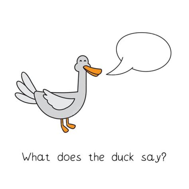 What does a duck say in English?