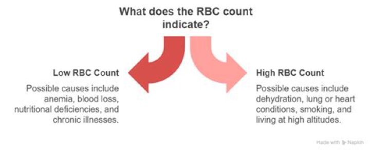 What does a low RBC count indicate?