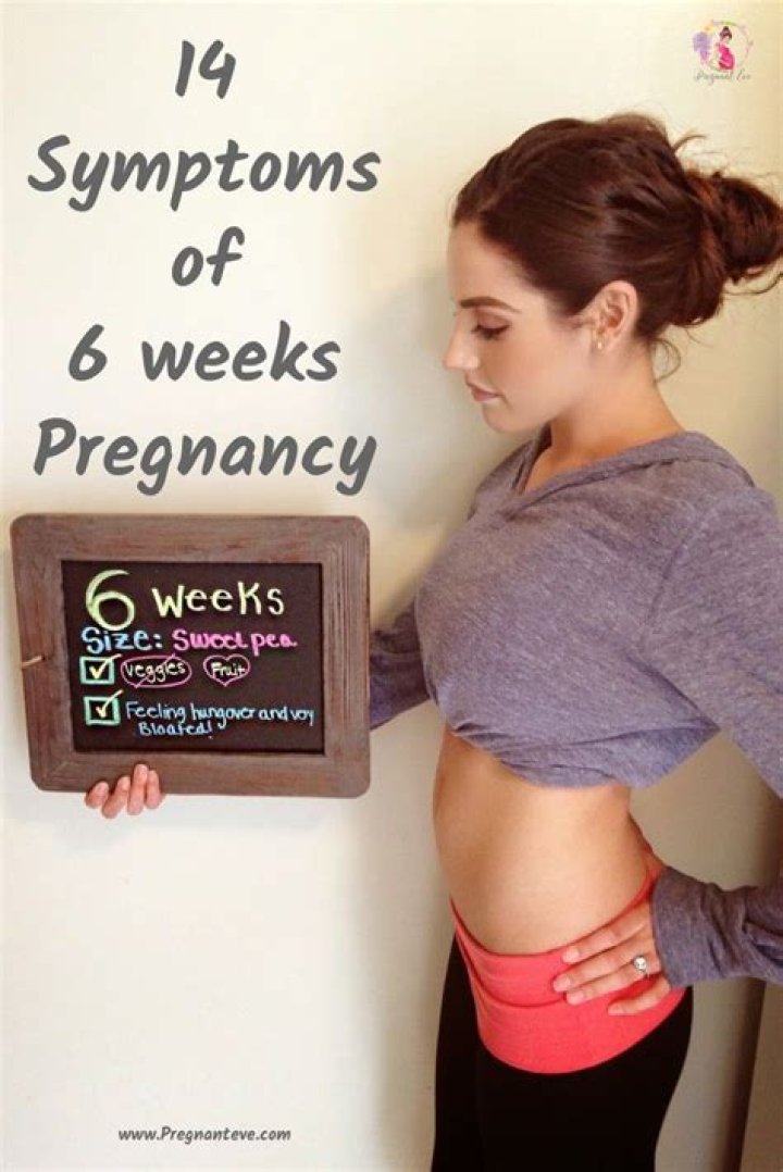 What does a pregnant belly look like at 6 weeks?