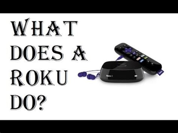 What does a Roku do?