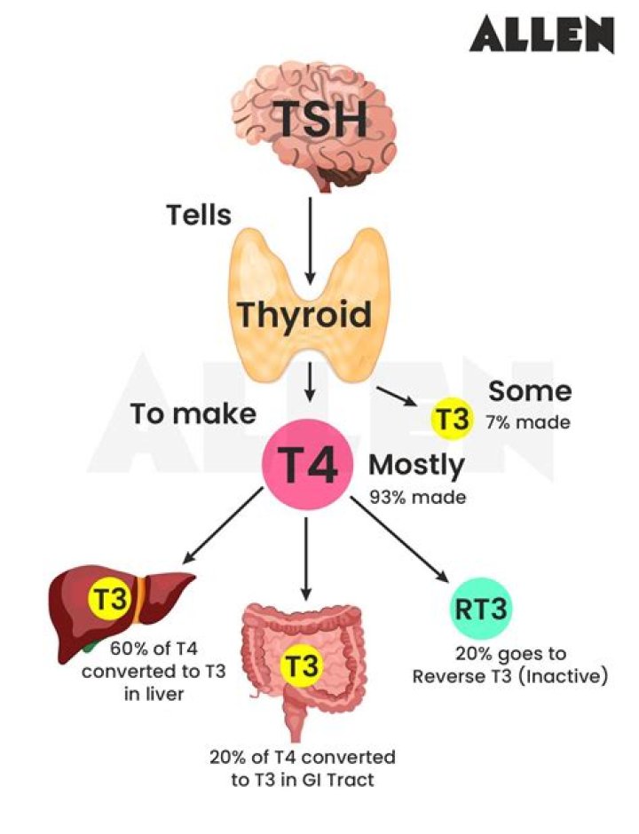 What does a TSH of 7.2 mean?